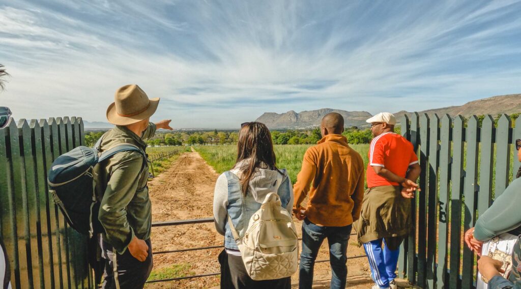 Guests looking out over the vineyards with their guide